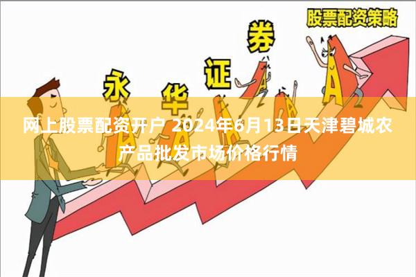 网上股票配资开户 2024年6月13日天津碧城农产品批发市场价格行情