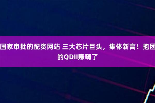 国家审批的配资网站 三大芯片巨头，集体新高！抱团的QDII赚嗨了