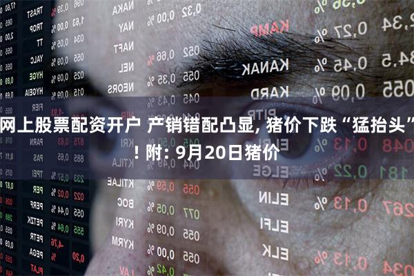 网上股票配资开户 产销错配凸显, 猪价下跌“猛抬头”! 附: 9月20日猪价