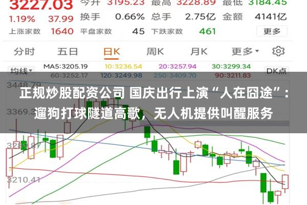 正规炒股配资公司 国庆出行上演“人在囧途”：遛狗打球隧道高歌，无人机提供叫醒服务