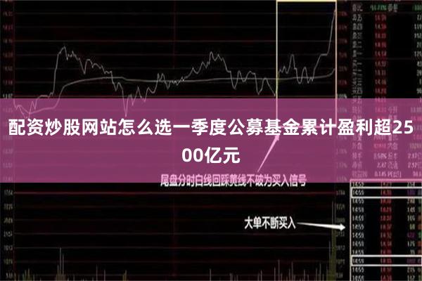 配资炒股网站怎么选一季度公募基金累计盈利超2500亿元
